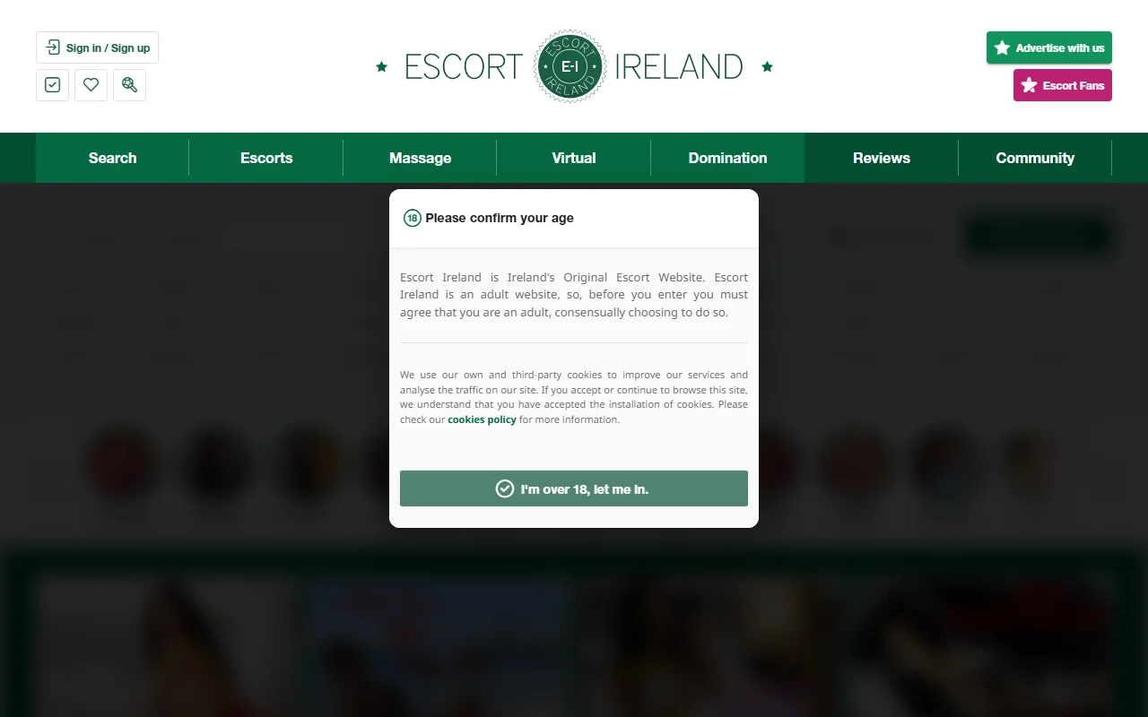 Screenshot of Escort Ireland